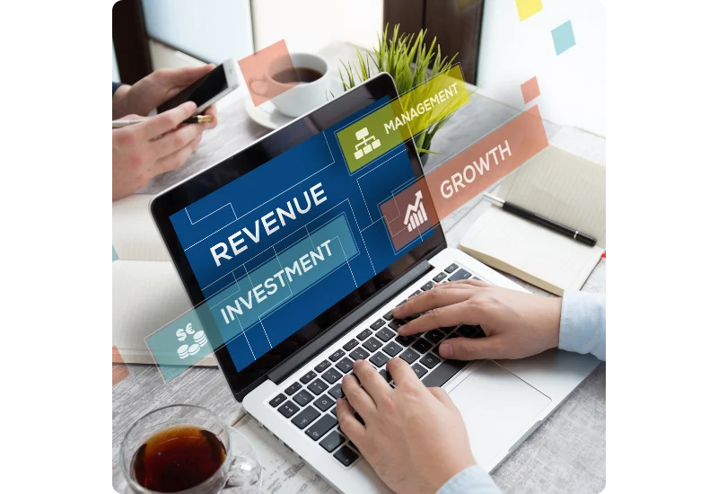 revenue_consultant_service