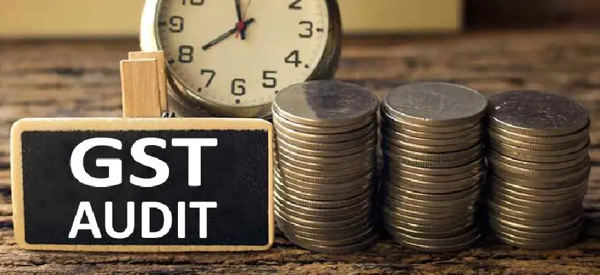 gst_audit_image